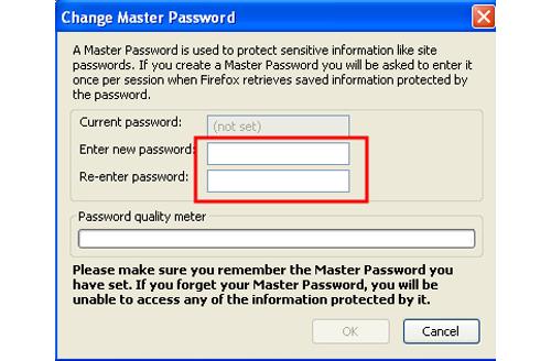 Use a master password