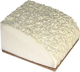 PU Foam