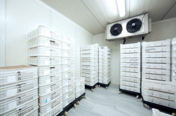 Panel phòng lạnh - kho lạnh và ứng dụng
